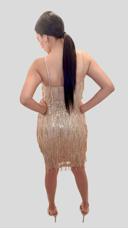 Women’s Sleeveless Side Slit Bodycon Fringe Sequins Mini Dress.