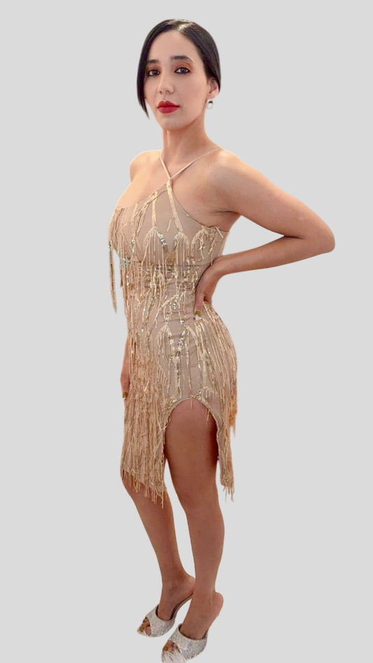 Women’s Sleeveless Side Slit Bodycon Fringe Sequins Mini Dress.